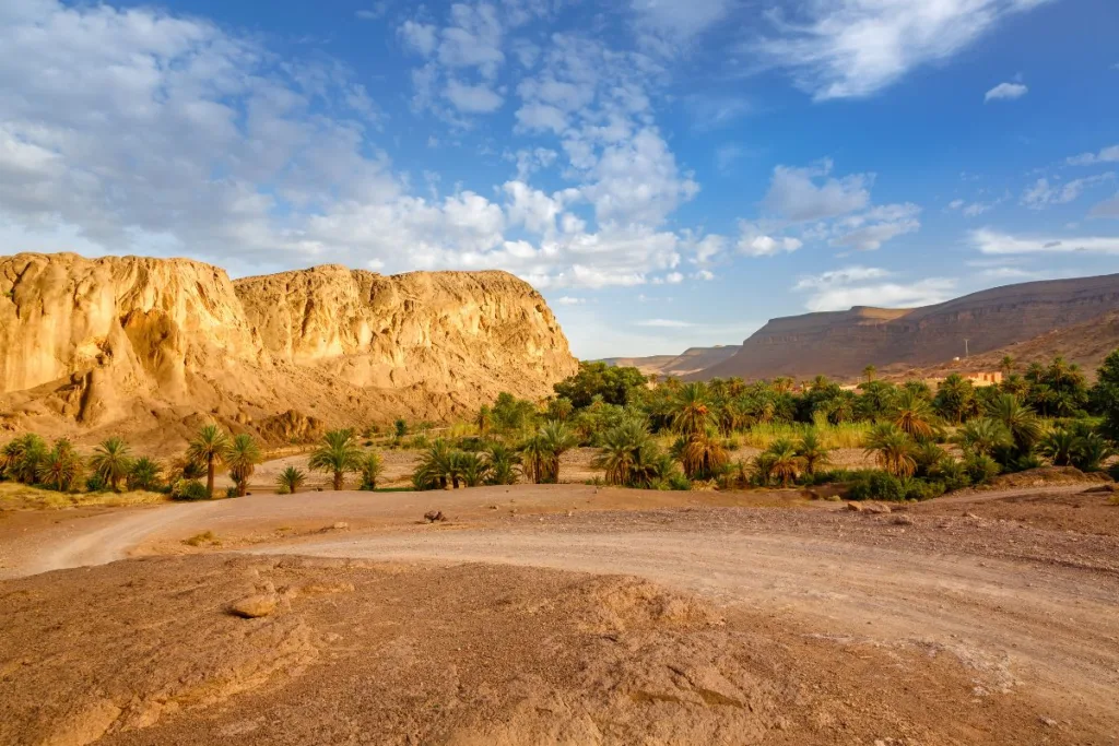 Maroc Oasis de Fint