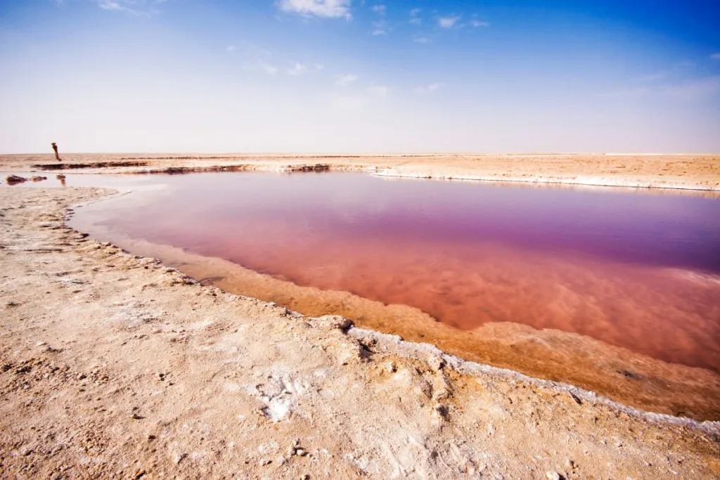 Le lac salé de Chott el Djerid, un paysage spectaculaire aux reflets changeants.