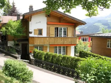 Appartement à Adelboden, Sunneschyn - L516491 - Photo 1