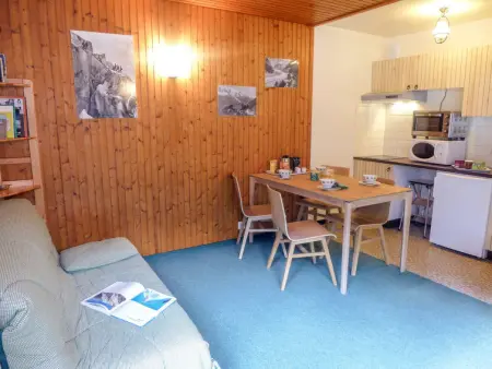 Appartement à Chamonix, L'Aiguille du Midi - L867888 - Photo 1