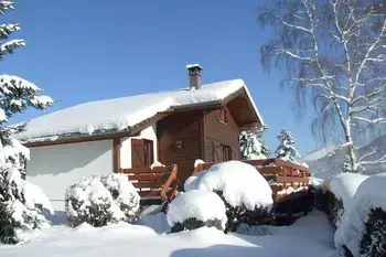 Chalet in Le Thillot,Les Chalets des Ayes 9 FR-88160-08 N°96591