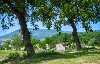 Huisje in Montegrimano Terme PU,Villa Coccole IMM208 N°560780