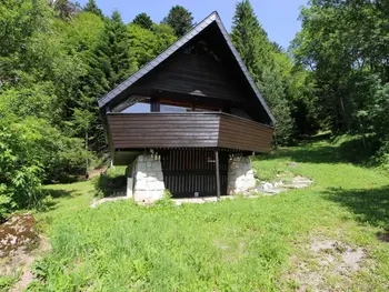 Chalet en Mont Dore,Mont-Dore : Chalet agréable avec WIFI pour 9 personnes FR-1-608-88 N°830620