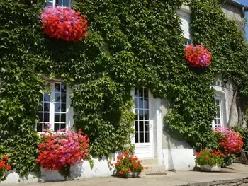 Gîte in Doville,Maison de caractère avec jardin privé, proche plages et randonnées, animaux acceptés FR-1-362-47 N°832302