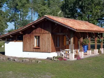 Gîte in Taller,Gîte Confortable au Cœur de la Forêt Landaise avec Terrasse et Jardin FR-1-360-135 N°832438