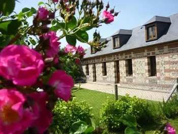 Cottage in Octeville sur Mer,Maison charmante avec jardin clos, proche de la mer, activités variées, animaux acceptés sur accord. FR-1-441-206 N°832977