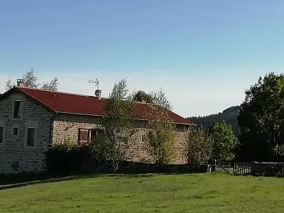 Gite à Roche en Régnier,Gîte familial avec équipement bébé, terrasse et jardin clos à Roche-en-Régnier FR-1-582-192 N°834588