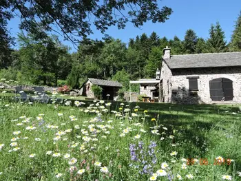 Gite in Queyrières,Maison isolée, au cœur des volcans, terrain clos, jeux, confort, cheminée, proche forêts et villages. FR-1-582-285 N°838939