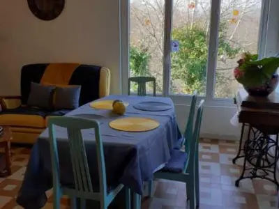 Gite à Dampierre en Burly,Gîte indépendant avec terrasse et accès direct au lac FR-1-590-223 N°839043