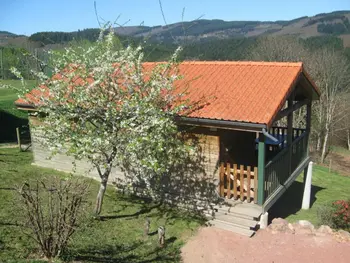 Gîte in Les Noes,Charmant chalet 35m², 2 ch, terrasse privée, activités nature aux Monts de la Madeleine, animaux OK FR-1-496-240 N°839106