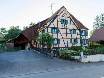 Gite à Ueberstrass,Gîte alsacien rénové avec jardin près de la Suisse et de l'Allemagne, idéal pour familles et amis FR-1-744-29 N°969977