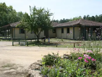 Cottage in Brocas,Chalet Familial avec Activités de Plein Air au Cœur des Landes de Gascogne FR-1-360-214 N°977790