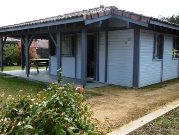 Cottage in Brocas,Chalet bois confort, nature & détente, Landes de Gascogne – 2 chambres, activités et équipé, animaux OK FR-1-360-403 N°977834