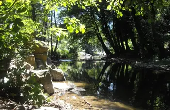 Chalet a Saint Jean de Valériscle,Camping L'Orée des Cévennes - Chalet 427571 N°627572