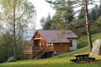 Chalet in La Bresse,Superbe chalet traditionnel en lisiere de foret a La Bresse renove calme 449632 N°651651