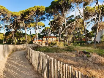 Villa in Hyères, Villa pour 10 personnes au bord de la plage à Hyères  885026 N°981830