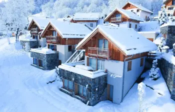 Chalet in Valloire,Chalet Le Mas des Neiges 887334 N°981909