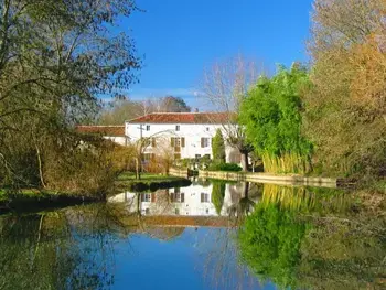 Cottage in Saint Mary,Moulin Authentique avec Jardin Privé et Activités pour Familles et Amis en Bord de Rivière FR-1-653-251 N°991654