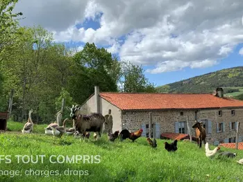 Gîte in Sauvain,Gîte chaleureux avec cheminée, espace jeux et animaux, proche nature et activités familiales FR-1-496-315 N°995332