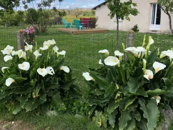 Casa rural en Saint Aulaye Puymangou,Gîte spacieux avec jardin privé, proche Dordogne et Charente, idéal pour 2 personnes et animaux acceptés FR-1-616-358 N°996558