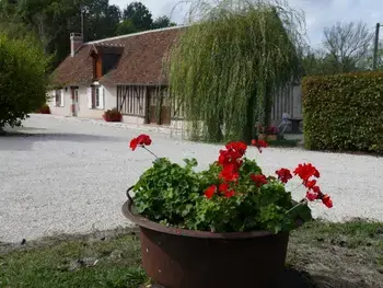 Casa rural en Cour Cheverny,Gîte chaleureux près des Châteaux de la Loire, avec terrasse, équipements de loisirs et pêche

 FR-1-491-357 N°999924