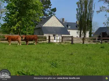 Gîte in Sainte Marie du Mont,Maison mitoyenne avec jardin privé, près de Utah Beach, 1 chambre, animaux acceptés, équipements inclus. FR-1-362-698 N°1004040