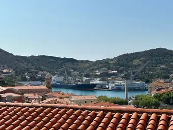 Apartamento en Port Vendres,Port-Vendres - T2 avec double terrasse et parking privatif FR-1-309-469 N°1007280