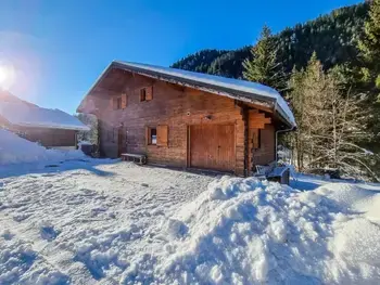 Chalet in Châtel,CHALET 14 PERSONNES 1390172 N°1016563