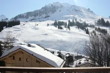 Wohnung in LE GRAND BORNAND,Résidence Roches Fleuries 1 FR-74450-192 N°1029493