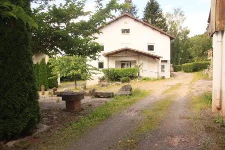 Chalet à Ban sur Meurthe Clefcy, Chalet spacieux à Ban-sur-Meurthe-Clefcy, idéal en groupe - L1065607 - Photo 1