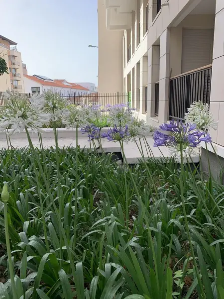 Appartement à Marseille, Appartement Moderne à Marseille avec Balcon et Vue sur Jardin - L1066351 - Photo 1